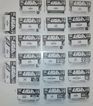 Panini Liga Este lote Real Madrid