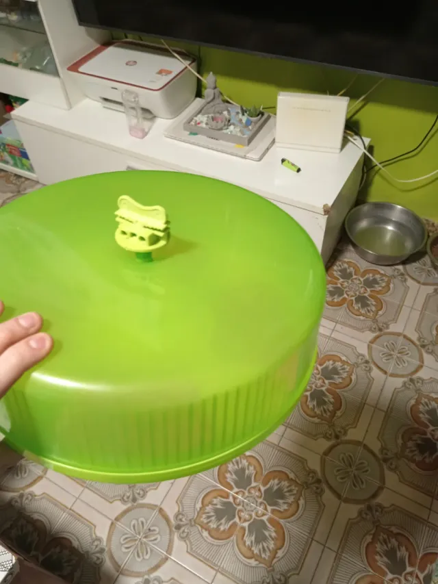 Rueda para hámster o roedor