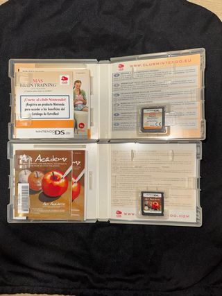 Juegos Nintendo DS: Brain Training y Art Academy