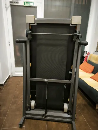 Cinta de correr profesional