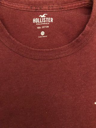 Camiseta manga larga - Hollister.