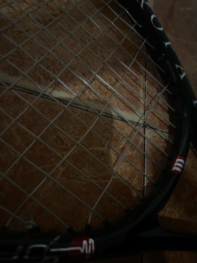 Raqueta Frontón Wilson Europa Pro