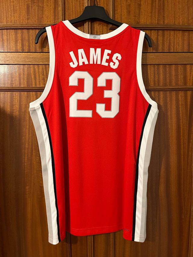 Camiseta NBA LeBron James
