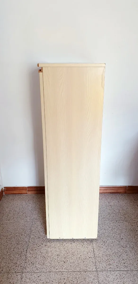 ZAPATERO CON TRANSPORTE INCLUIDO