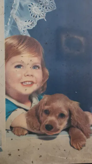 Scatola Latta Vintage Pane Angeli