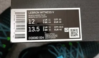 Nike LeBron Witness 5 Talla 46