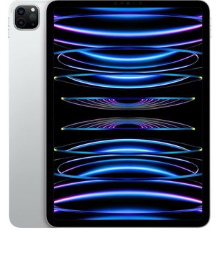 Apple iPad Pro 11 (2022) Plata