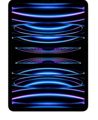 Apple iPad Pro 11 (2022) Plata