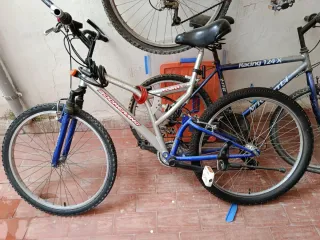 Bicicleta Boomerang Racing 124-X