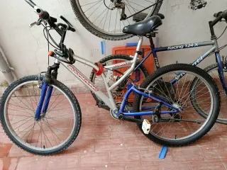 Bicicleta Boomerang Racing 124-X