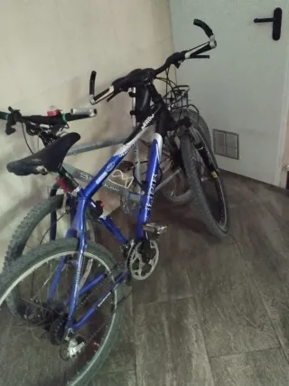 Bicicleta Boomerang Racing 124-X