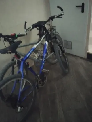 Bicicleta Boomerang Racing 124-X