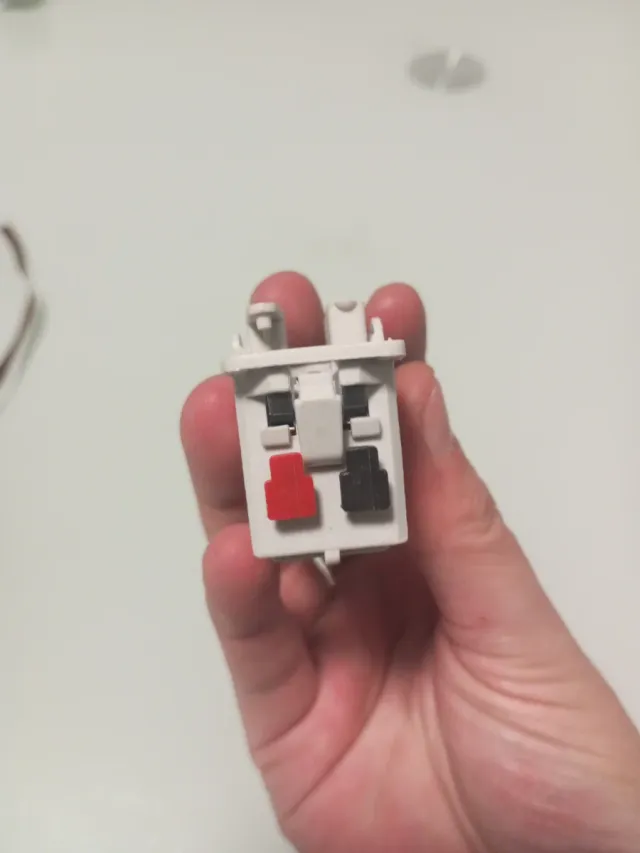 Cruzamiento BJC Rehabitat