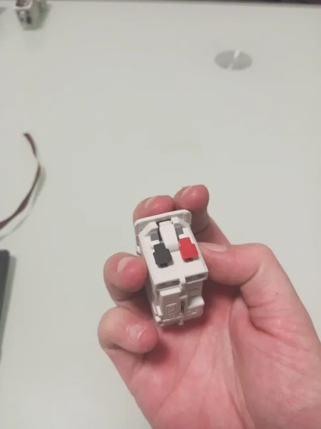 Cruzamiento BJC Rehabitat