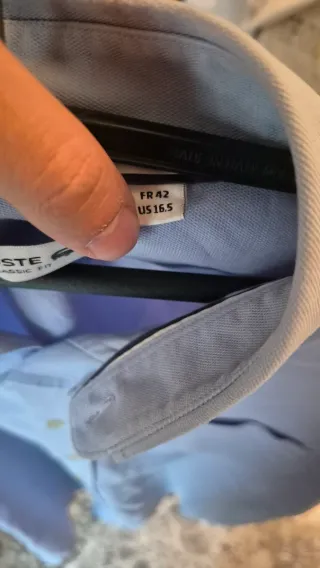 Camicia Lacoste Classic Fit Azzurra Uomo