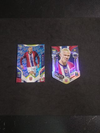 Cromos Erling Haaland FIFA 365