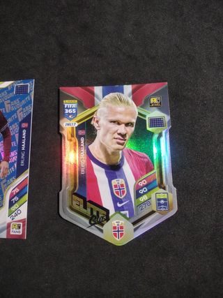 Cromos Erling Haaland FIFA 365