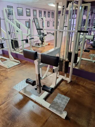 Máquina Femoral Gimnasio