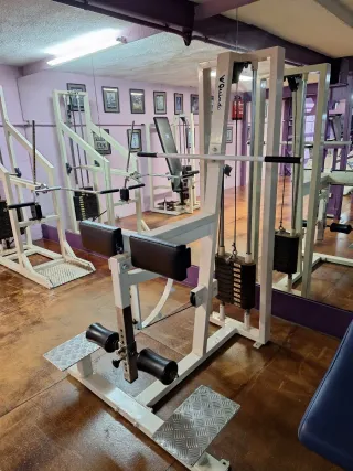 Máquina Femoral Gimnasio