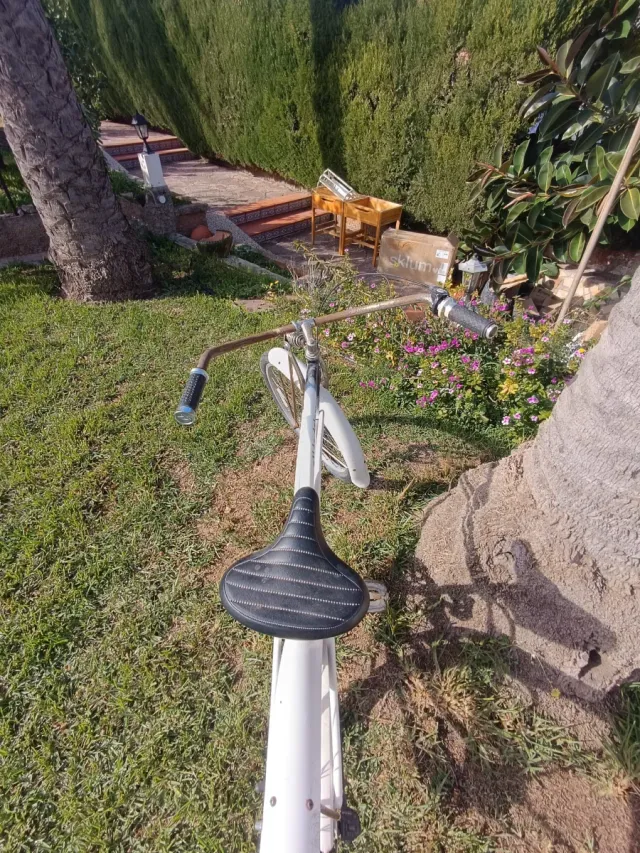 Bicicleta Custom Cruiser Glide Deluxe