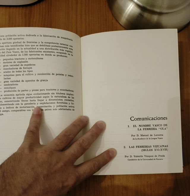 Ferrerías, siderurgia , armas y naval vasca