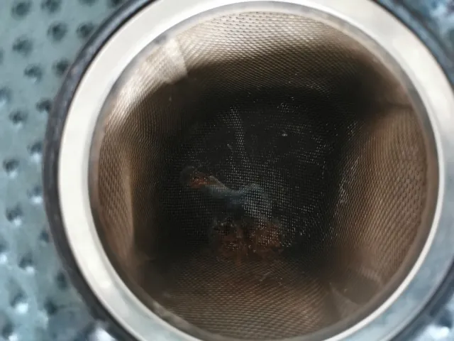 Tetera Hierro Fundido Estilo Japonés