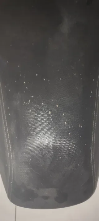 Asiento Kimco Kxct 125 2013