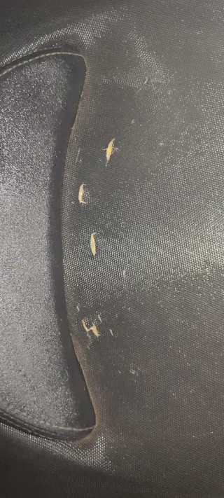 Asiento Kimco Kxct 125 2013