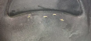 Asiento Kimco Kxct 125 2013