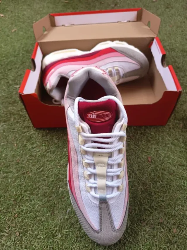 Nike Air Max 95 Anatomy of Air