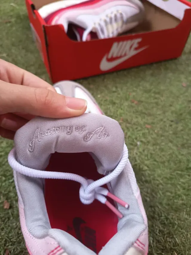 Nike Air Max 95 Anatomy of Air