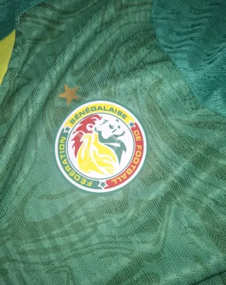 Camiseta Oficial Senegal 2025 PUMA