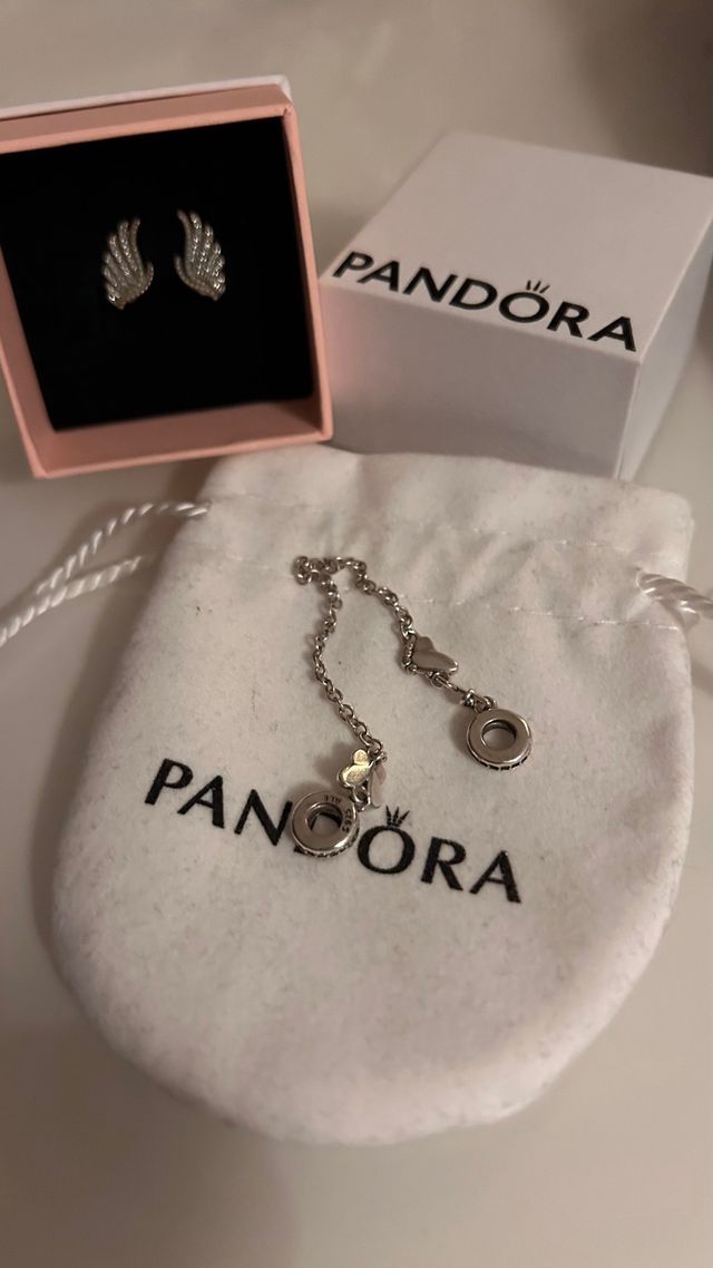Brincos Asas Pandora e Corrente