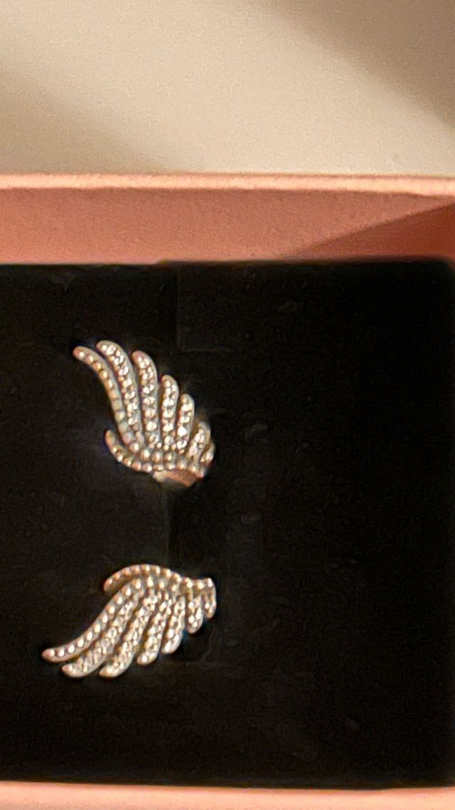 Brincos Asas Pandora e Corrente