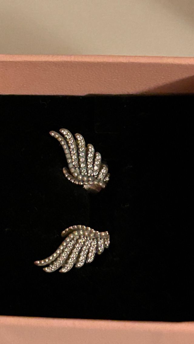 Brincos Asas Pandora e Corrente