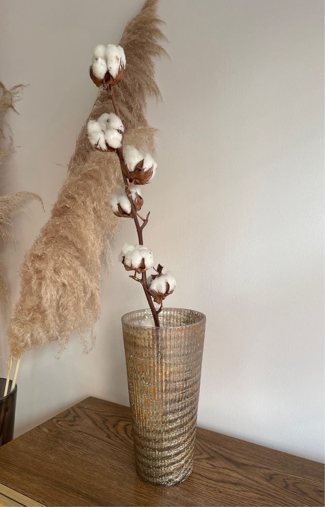 Ramas de algodón natural para decoración