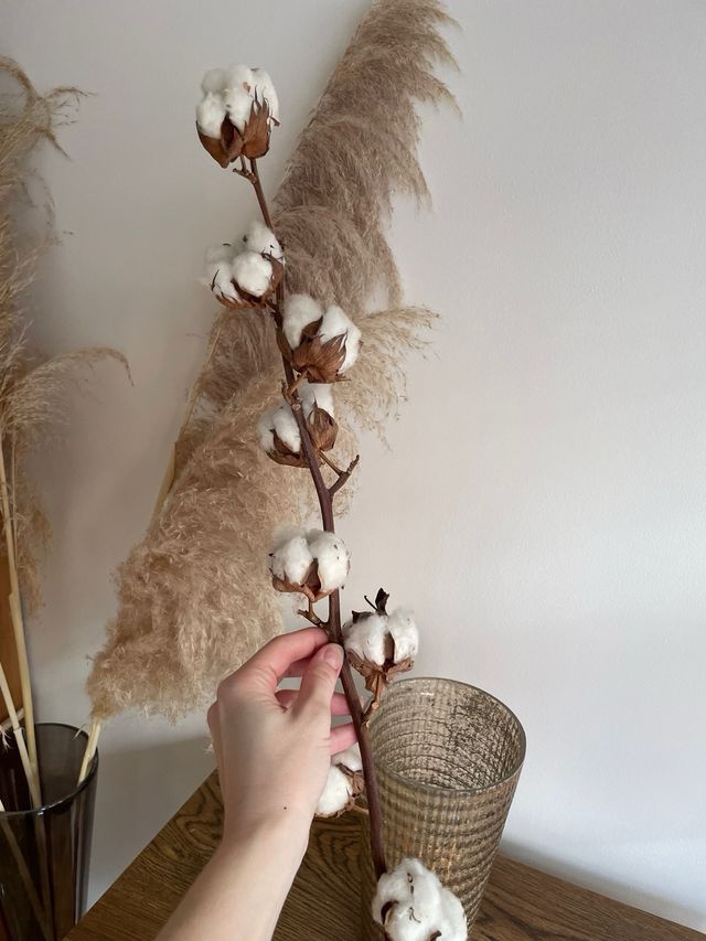 Ramas de algodón natural para decoración