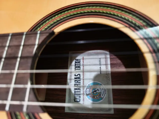 Chitarra spagnola Tatay con amplificazione