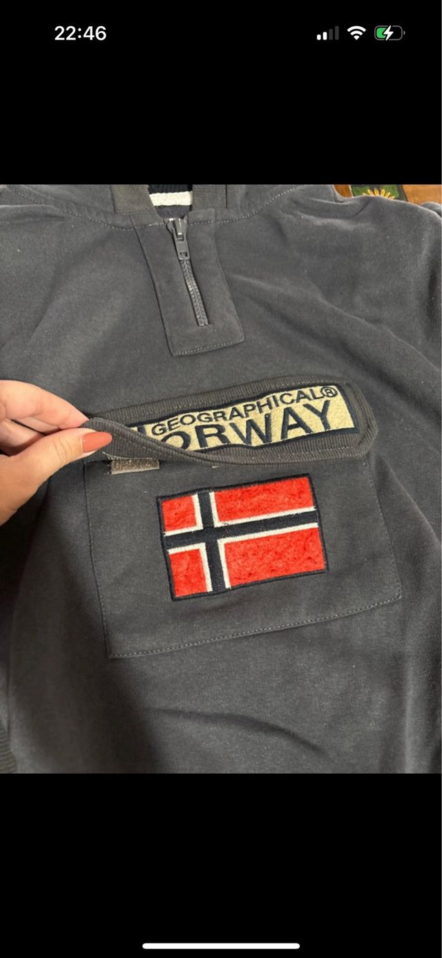 Sudadera Geographical Norway Gris