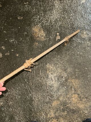 Montura de caballo completa