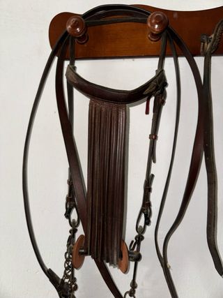 Cabezada y bocado de cuero para caballo
