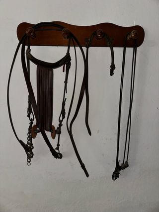 Cabezada y bocado de cuero para caballo