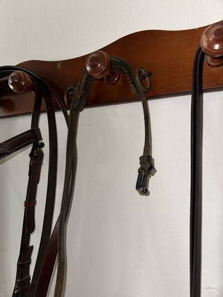 Cabezada y bocado de cuero para caballo