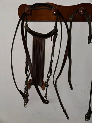 Cabezada y bocado de cuero para caballo