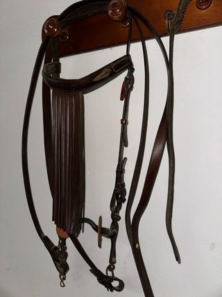 Cabezada y bocado de cuero para caballo