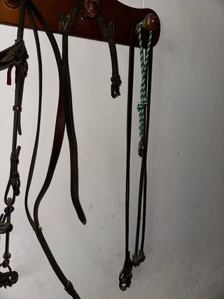 Cabezada y bocado de cuero para caballo