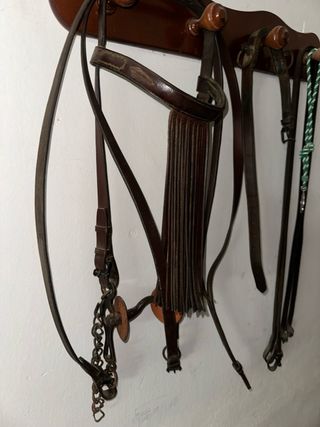 Cabezada y bocado de cuero para caballo