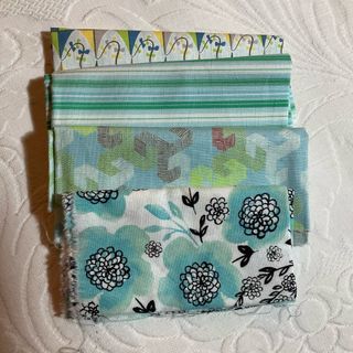 4 scampoli cotone americano