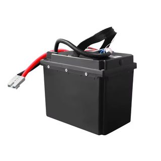 Batería Litio Profesional 24V 40Ah 960Wh