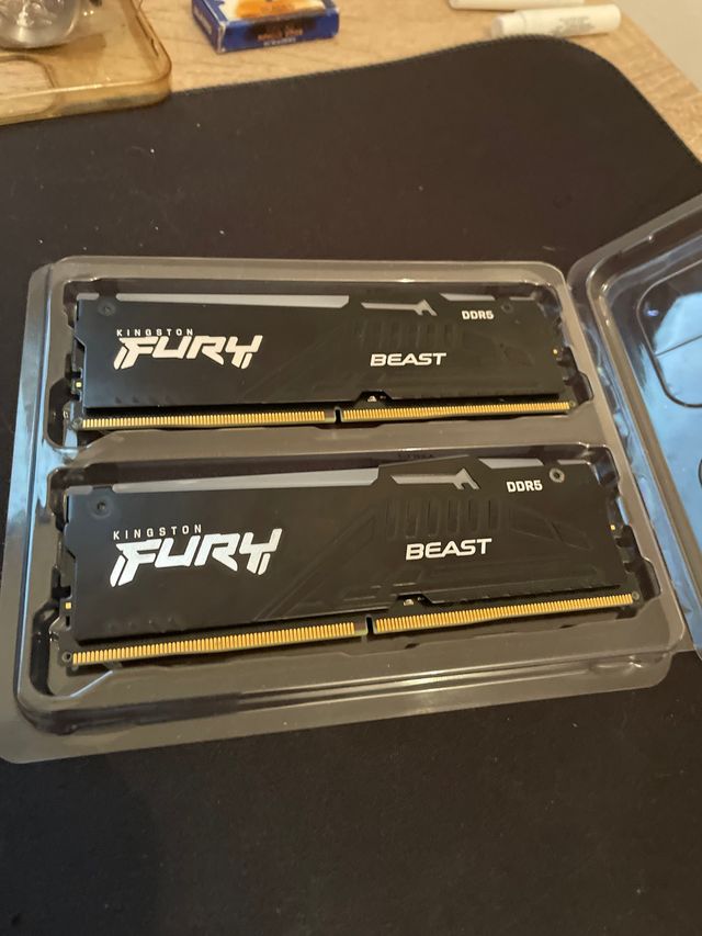 Kingston FURY Beast DDR5 RAM (2x)